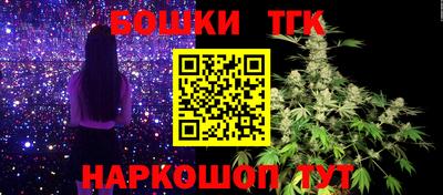 spice Кинель