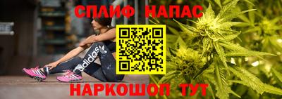 spice Кинель