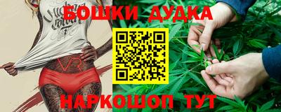 spice Кинель