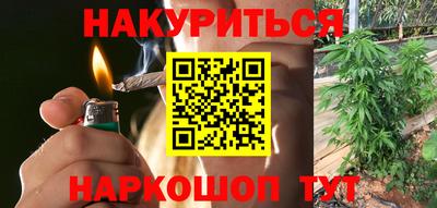 эйфоретик Кингисепп