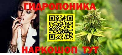 эйфоретик Кингисепп