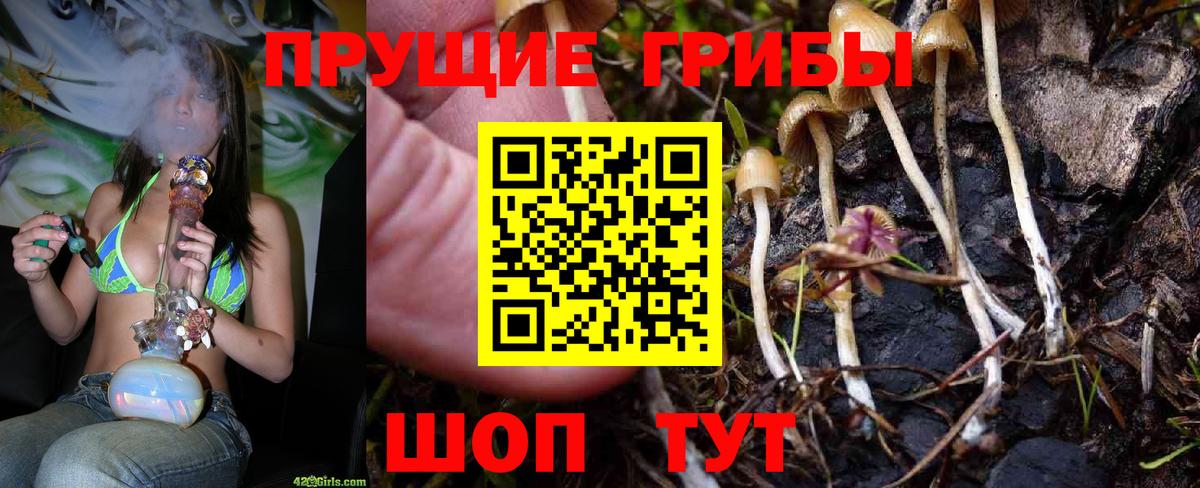 Псилоцибиновые грибы Magic Shrooms Мончегорск