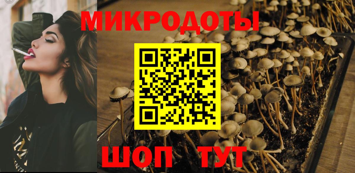 Псилоцибиновые грибы Cubensis  Вход с VPN  Галлюциногенные грибы GOLDEN TEACHER  Мончегорск 